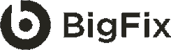 BigFix